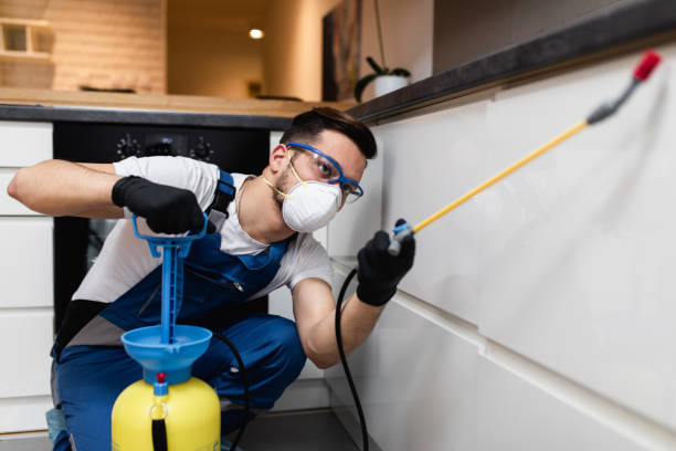 Best Ant Control Services  in Woodland Heights, PA
