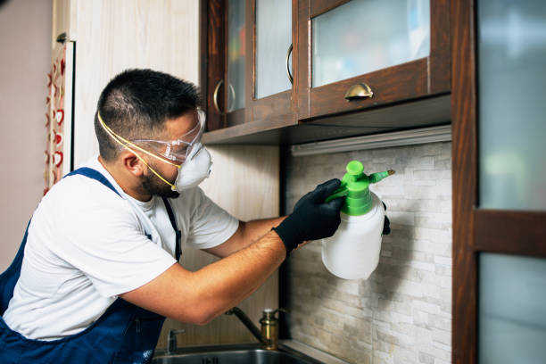 Best Mosquito Control Services  in Woodland Heights, PA