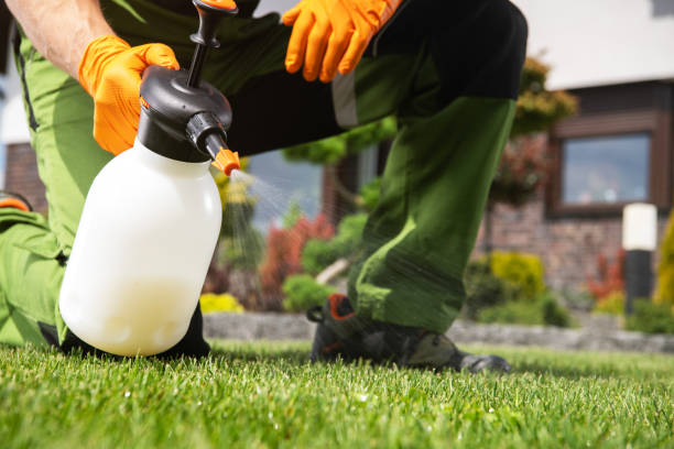 Best Exterminator Services  in Woodland Heights, PA