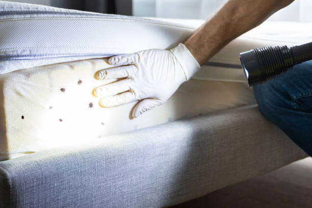 Trusted Woodland Heights, PA Pest Control Experts
