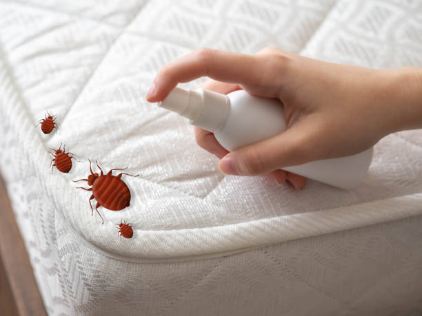 Best Commercial Pest Control Services  in Woodland Heights, PA
