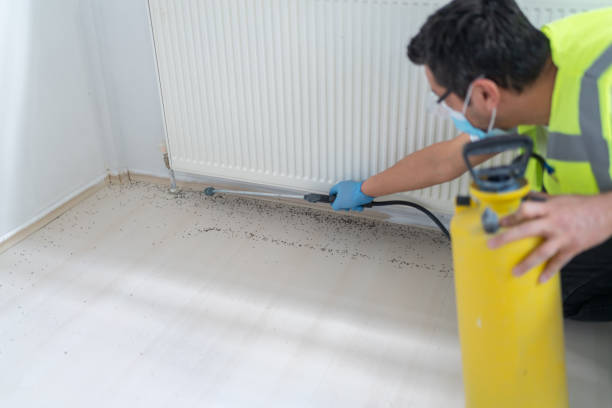 Best Wasp Removal Services  in Woodland Heights, PA