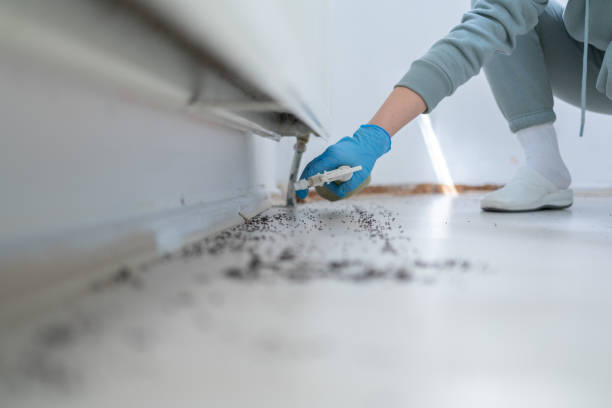 Best Commercial Pest Control Services  in Woodland Heights, PA